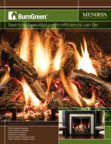 BurnGreenâ¢ System Brochure - Classic Pool and Spa