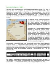 La tomate d'industrie en AlgÃ©rie