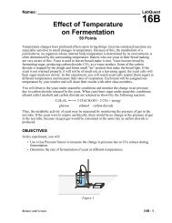 Vernier Lab: Effect of Temperature on Fermentation