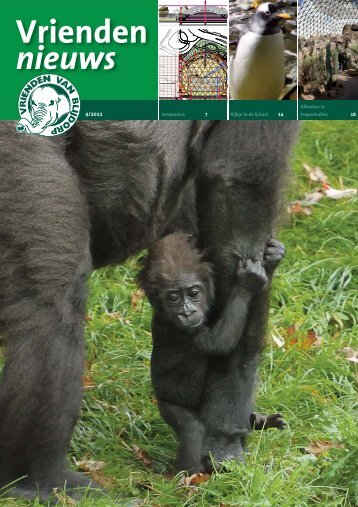 VN 2011-4 - Vrienden van Blijdorp