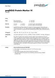 peqGOLD Protein-Marker VI - Peqlab