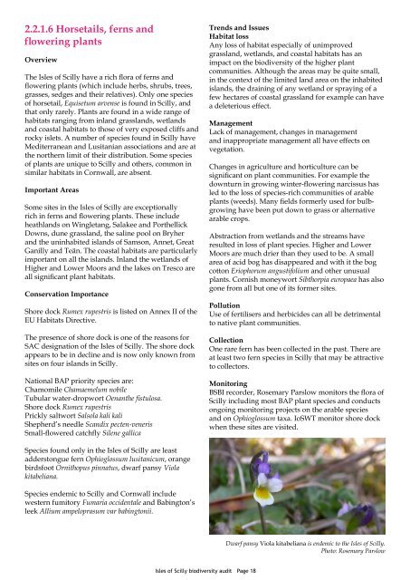 The Isles of Scilly Biodiversity Audit 2008 - Cornwall Wildlife Trust