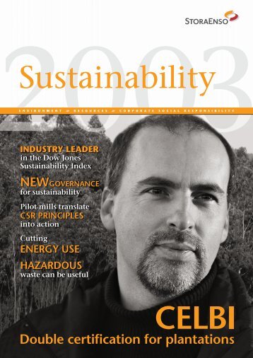 Stakeholders' concerns and questions - Stora Enso