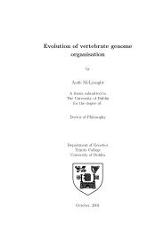 Evolution of vertebrate genome organisation