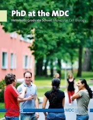 PhD brochure - MDC