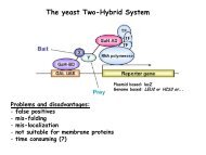 The yeast Two-Hybrid System