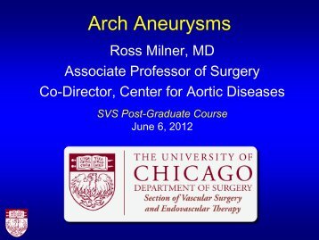 Aortic Arch Aneurysms â What Is Currently Available? - VascularWeb
