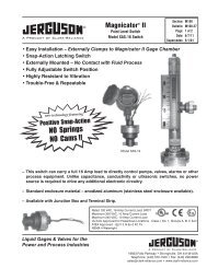 SAS-16 Magnetic Point Level Switch - Clark Reliance