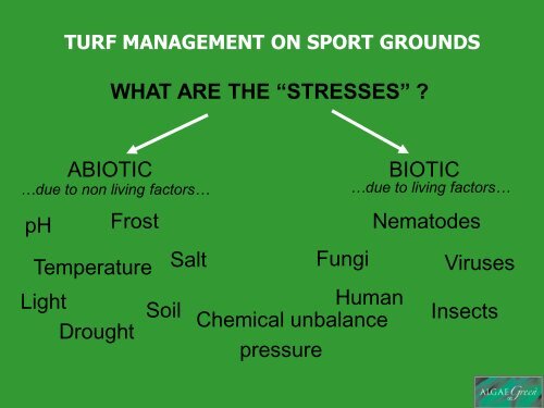 turf management on sport grounds