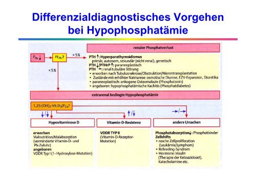 Störungen des Calcium-, Phosphat - Institut für Klinische Chemie ...