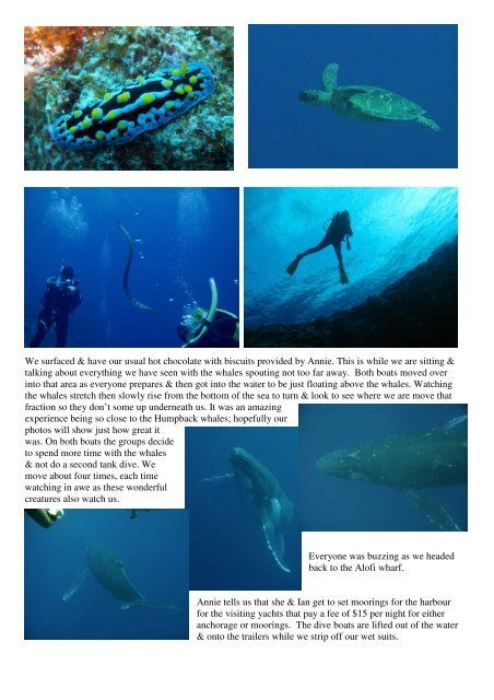 October 2009 Newsletter - DolphinUnderwater.org