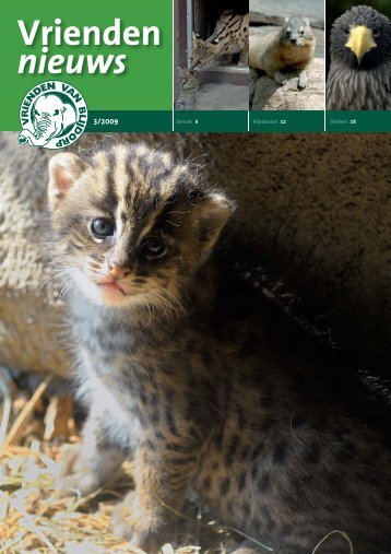 servals eindelijk in de savanne - Vrienden van Blijdorp