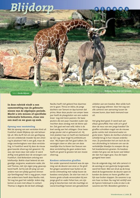 servals eindelijk in de savanne - Vrienden van Blijdorp