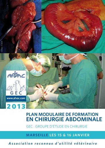 plan modulaire de formation en chirurgie abdominale - AFVAC