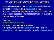 PLANT RESISTANCE TO NEMATODES