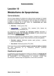 Bioquimica metabolica_L13.Metabolismo de ... - VeoApuntes.com