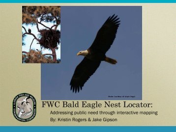 FWC Bald Eagle Nest Locator: - Organization of Fish and Wildlife ...