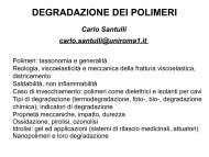 DEGRADAZIONE DEI POLIMERI - carlo santulli home page