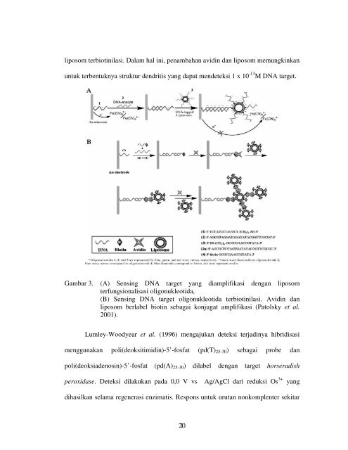 DETEKSI HIBRIDISASI DALAM BIOSENSOR DNA ELEKTROKIMIA