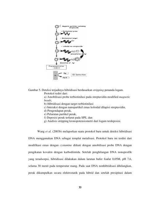 DETEKSI HIBRIDISASI DALAM BIOSENSOR DNA ELEKTROKIMIA