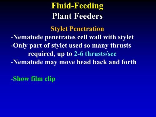 NEMATODE MOVEMENT