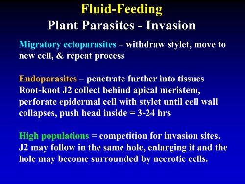 NEMATODE MOVEMENT