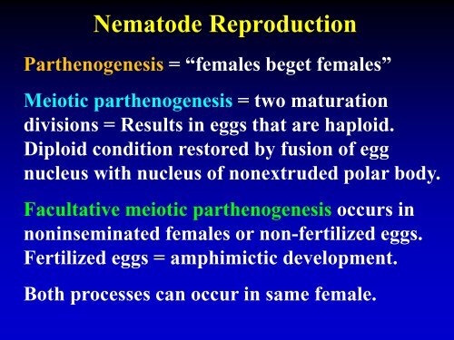 NEMATODE MOVEMENT