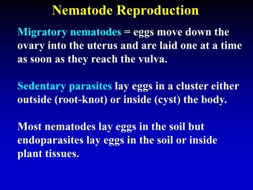 NEMATODE MOVEMENT