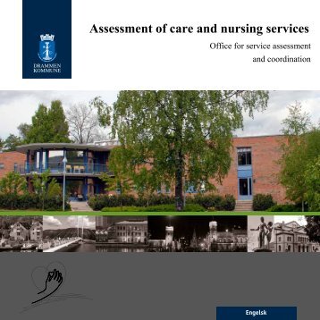 Assessment of care and nursing services - Drammen kommune