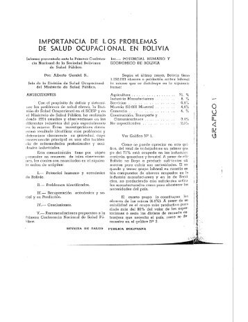 importancia de los problemas de salud ocupacional en bolivia