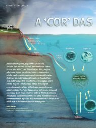 'Cor' das ÃgUas natUrais - Instituto do MilÃªnio EstuÃ¡rios