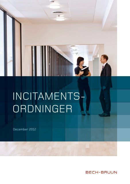 INCITAMENTS ORDNINGER - Bech-Bruun