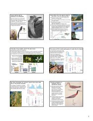 sexual selection - Biology Courses Server