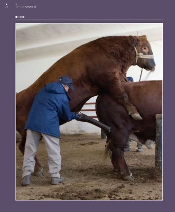 Sexado de semen. Una nueva herramienta para la producciÃ³n de ...