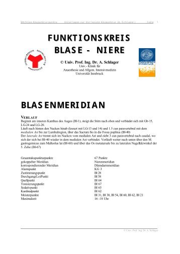 FUNKTIONSKREIS BLASE - NIERE BLASENMERIDIAN