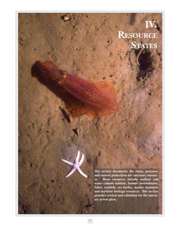 resource states - Stellwagen Bank National Marine Sanctuary - NOAA