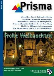 die vollständige Ausgabe als PDF-Dokument herunterzuladen.