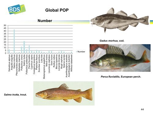 Dioxin/PCB crisis in feed/food - BioDetection Systems