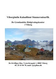 Viborg her - De grÃ¸nlandske huse i Danmark