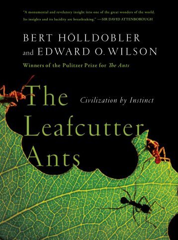 Download Leafcutter-Ants in PDF - FlipBookSoft