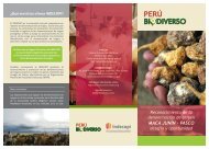 Tríptico Denominación Maca - Perúbiodiverso