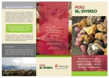 Tríptico Denominación Maca - Perúbiodiverso