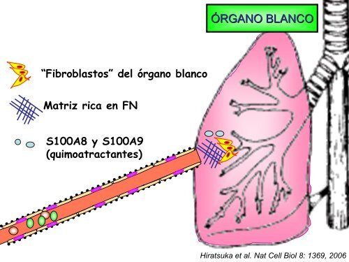 metastÃ¡sica