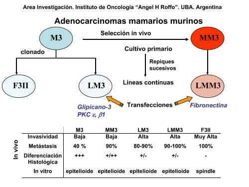 metastÃ¡sica