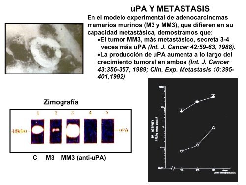 metastÃ¡sica