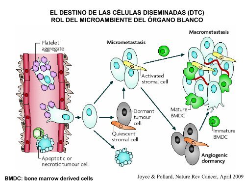 metastÃ¡sica