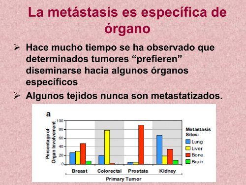 metastÃ¡sica