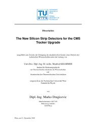 The New Silicon Strip Detectors for the CMS Tracker ... - HEPHY