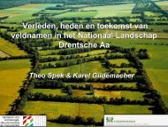 Download de presentatie van Theo Spek. - Naamkunde