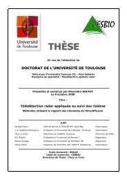 THÃS EE - CESBIO - UniversitÃ© Toulouse III - Paul Sabatier